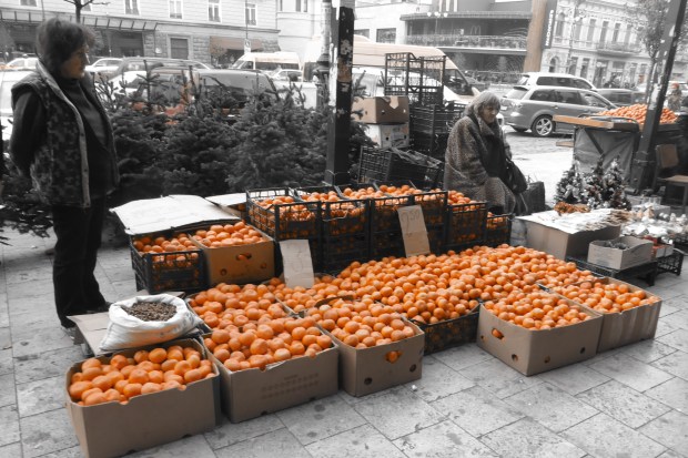 Mandarins for sale in Marjanshvili Street
