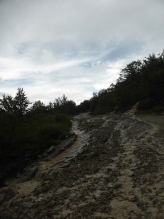 Muddy unpaved mountain track